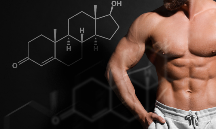 Testosterone: A Comprehensive Guide to Men's Vital Hormone